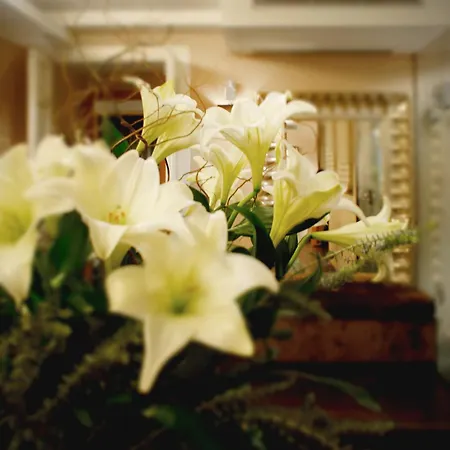Guest house Casa Boutique Barcelona